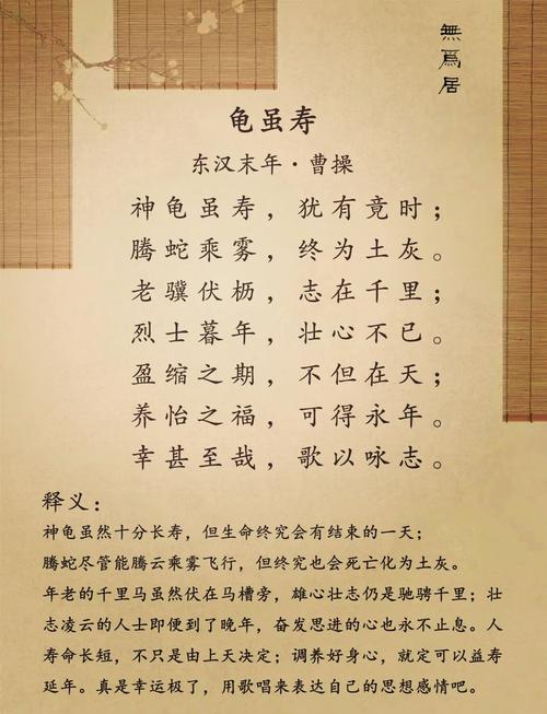 龟的千古佳句游戏截图