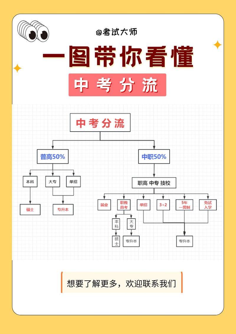正版分流是啥意思