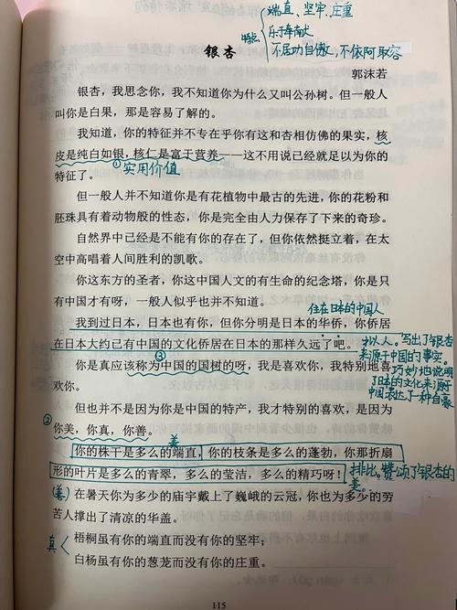 银杏,银杏小说游戏截图