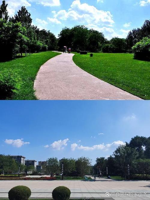 沈阳拍照图标