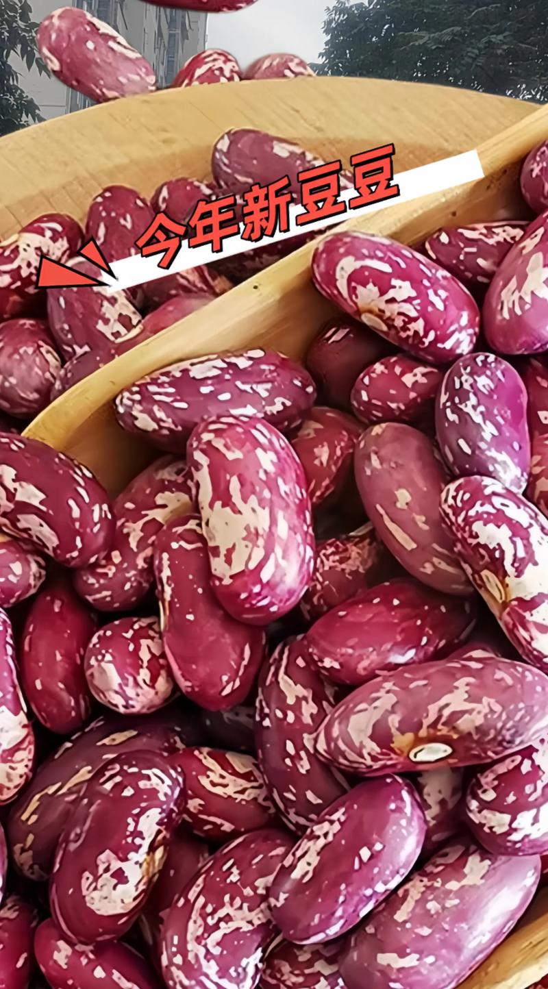 豆豆趣玩安全吗游戏截图