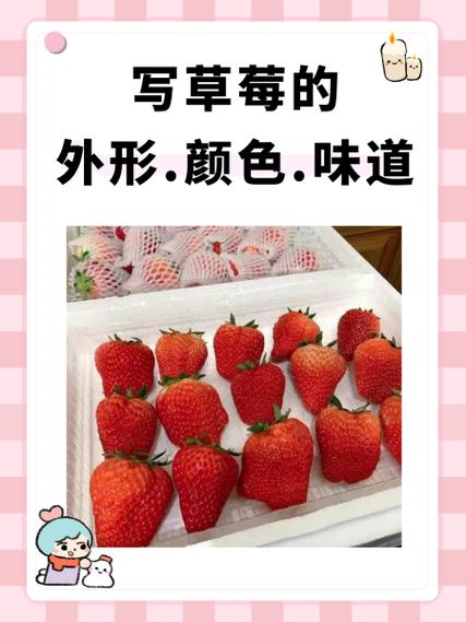 写草莓的外形.颜色.味道游戏截图