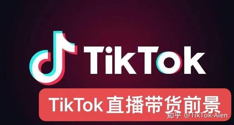 tiktok赚钱项目缩略图