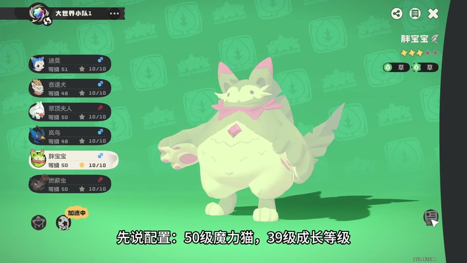 魔力猫图片