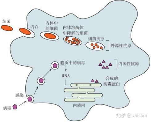 源性是什么意思图标