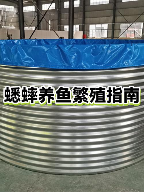 蛐蛐的繁殖方法缩略图