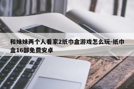 我和妹妹两个人看家纸巾盒下载