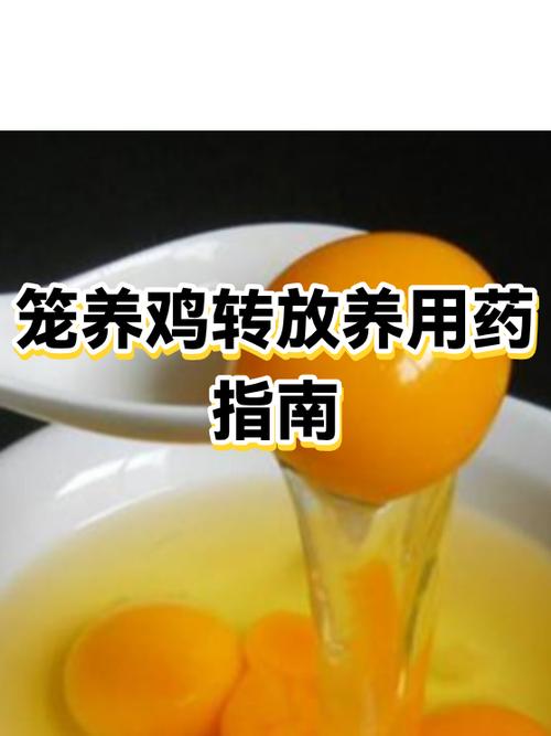 小太阳笼养还是放养图标