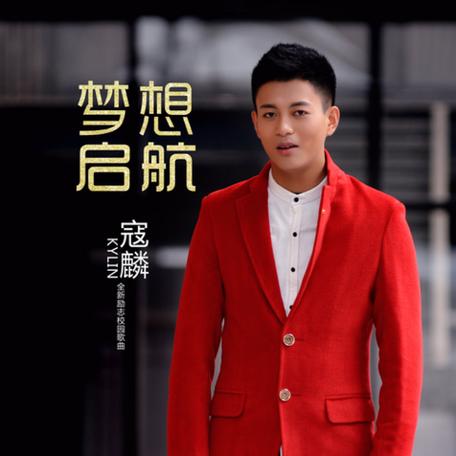 成为音乐家后会做什么
