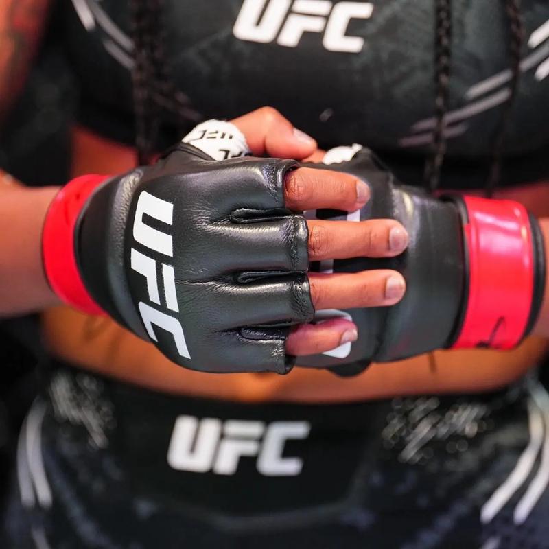 ufc4百度百科游戏截图
