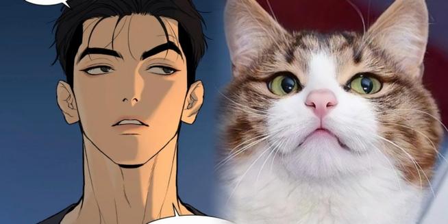 韩漫猫破解版缩略图