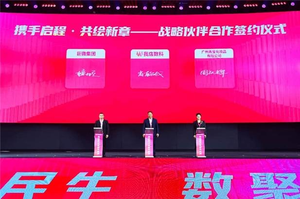 中国巨微控股集团