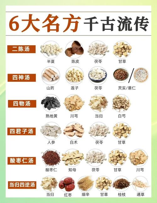 《中医药膳与食疗》