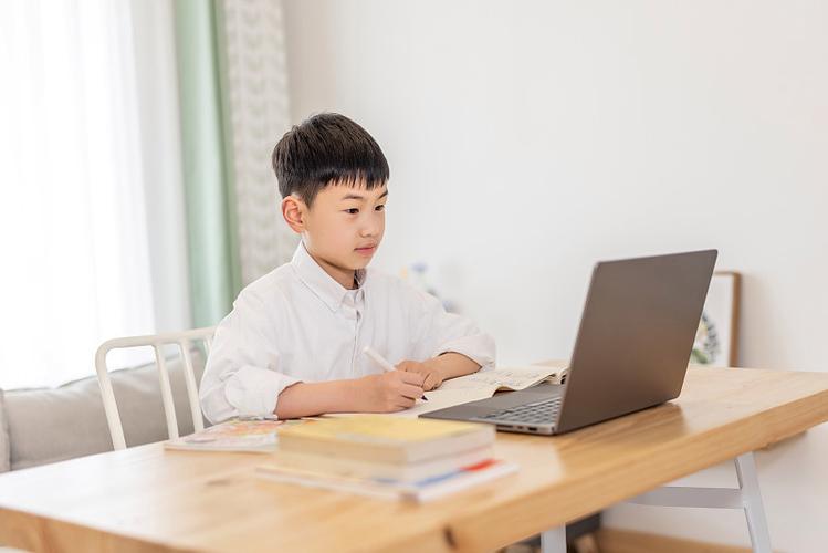 全国中小学生教育网课