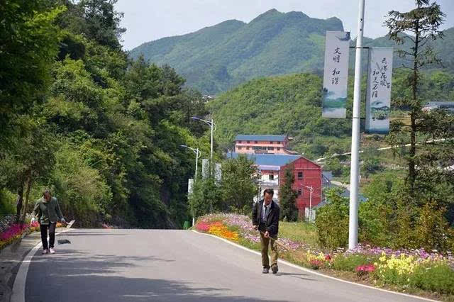 花坝怎么借