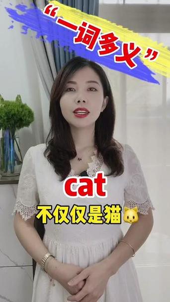 cat主要做什么图标