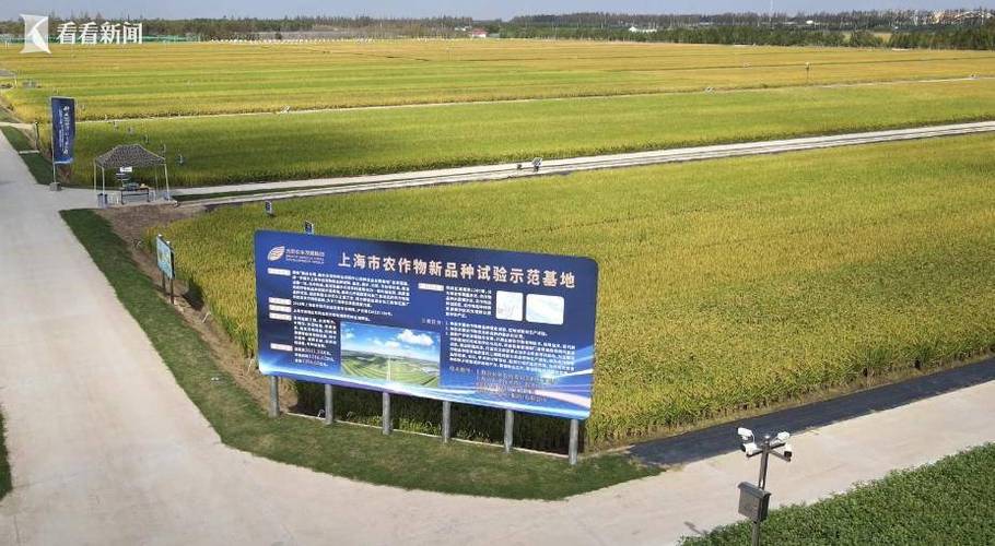 上海农乐生物科技咋样