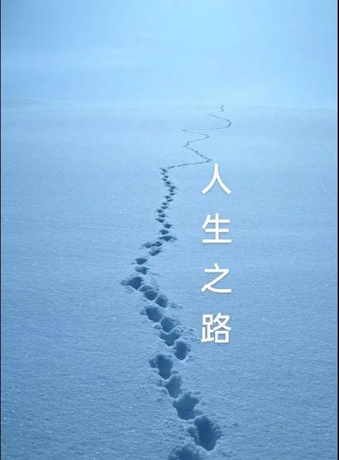 人生路漫长免费阅读全文
