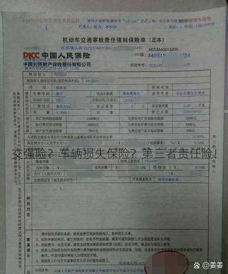 车保险哪个保险公司好缩略图