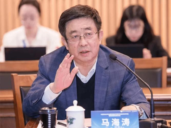 马海涛游戏截图