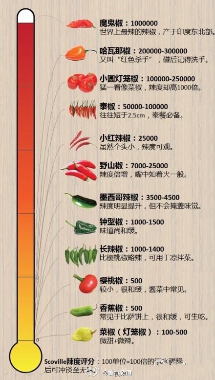 辣椒辣度游戏截图