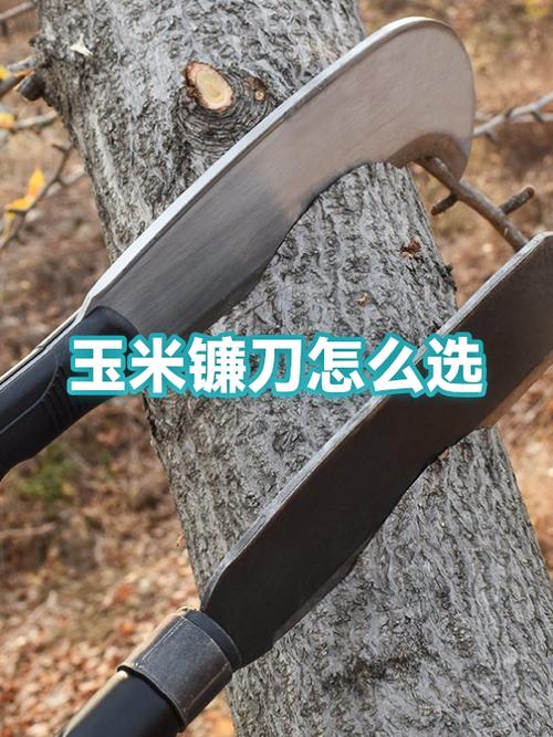 镰刀怎么磨才锋利缩略图