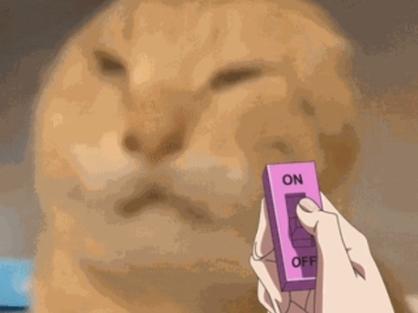 真得控制你了梗来源
