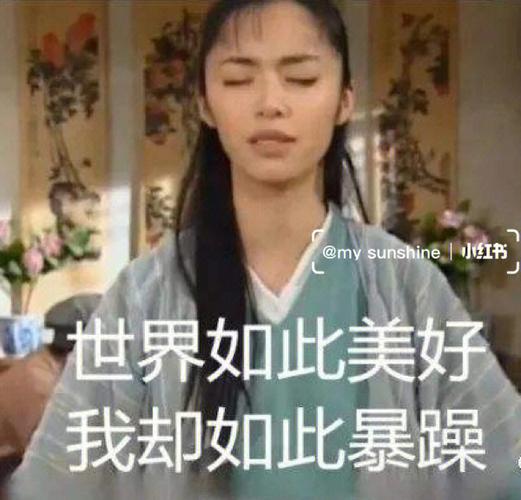 郭芙蓉表情包图标