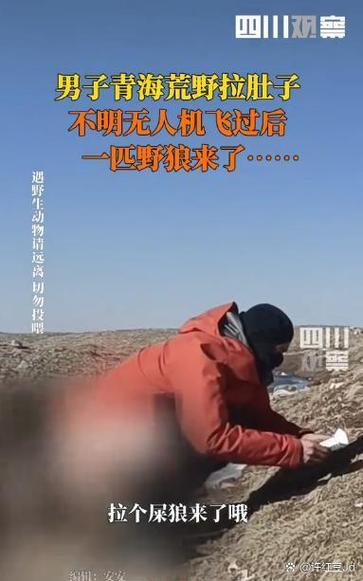 荒野大镖客2山洞救女孩收钱缩略图