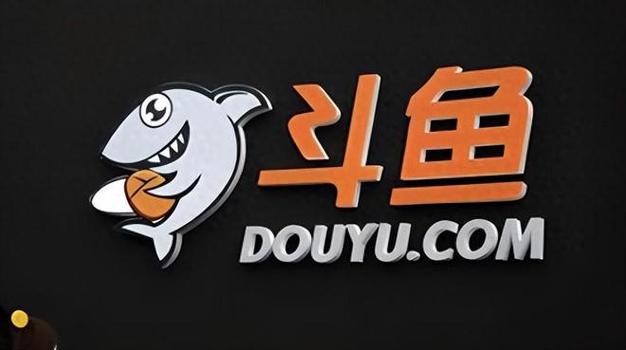 看斗鱼直播一小时多少流量