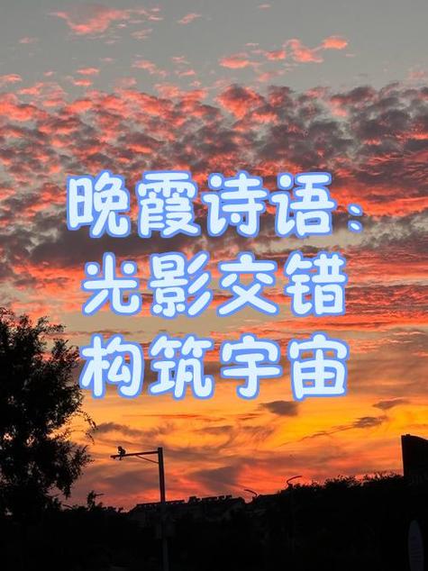照片光影的唯美句子图标