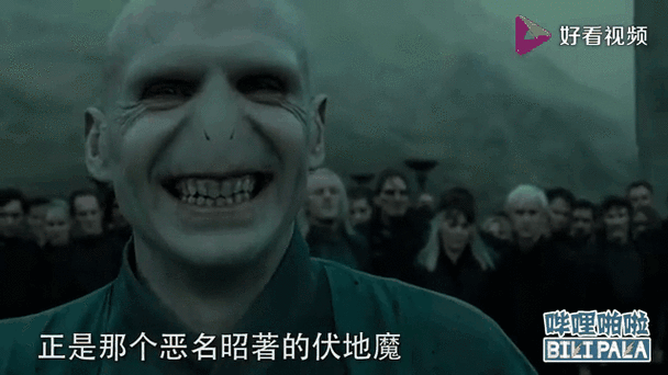 伏地魔的七个魂器分别是什么