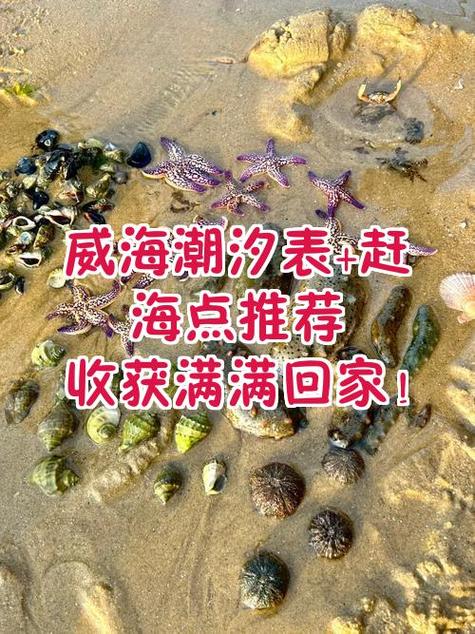 潮汐表赶海缩略图