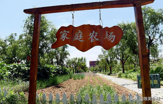 全国家庭农场缩略图
