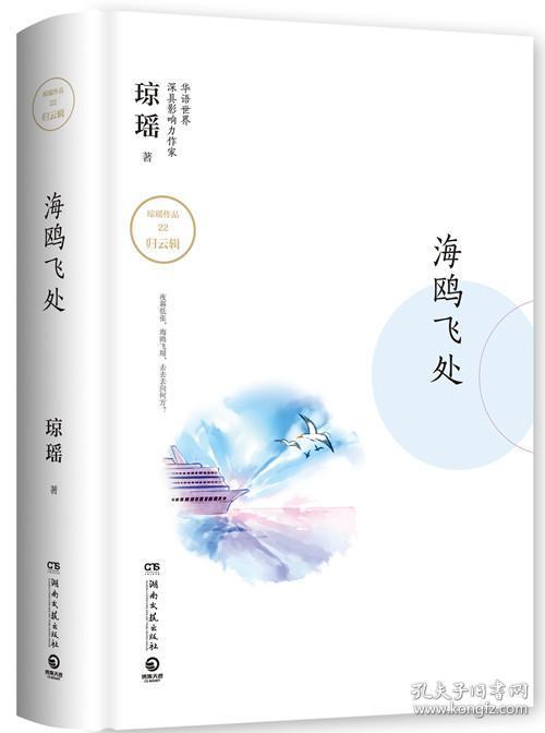海鸥飞处小说缩略图