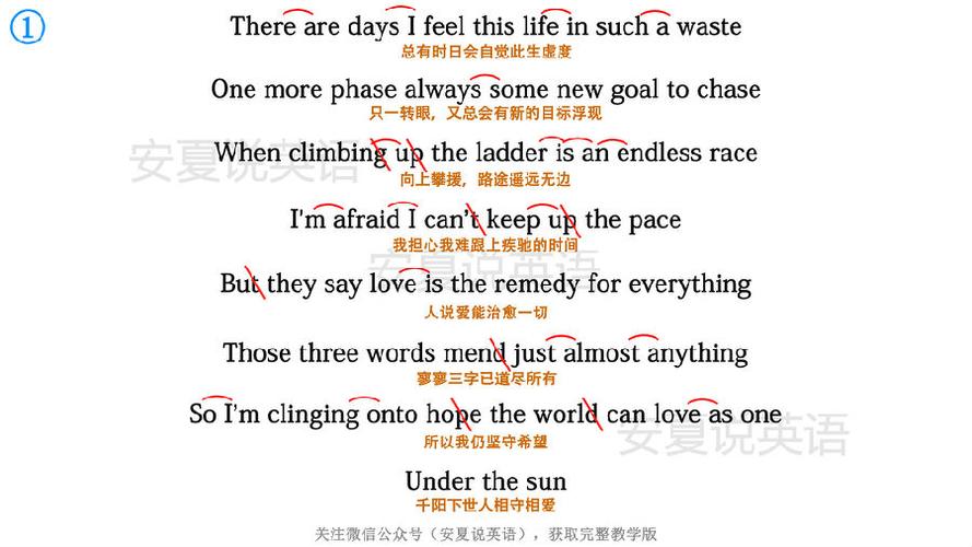 stay true翻译缩略图