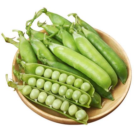豌豆荚2022缩略图