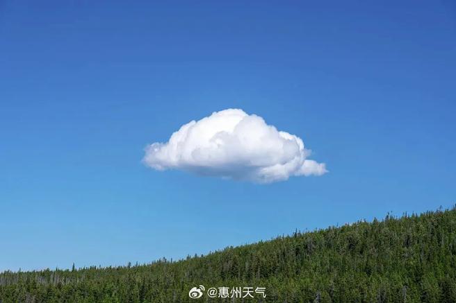 筋斗云是什么颜色的缩略图
