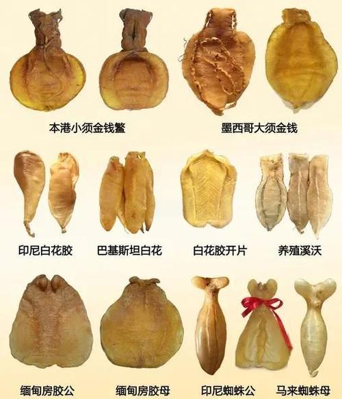 干鱼胶的储存方式