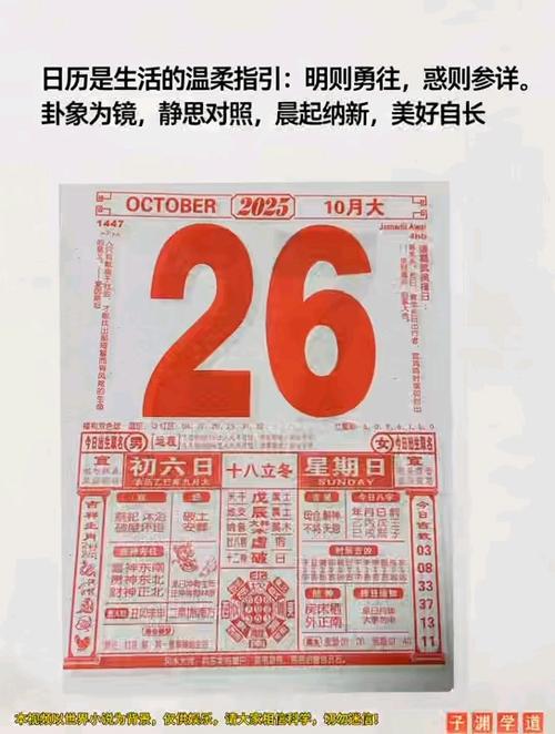 化妆品查询日期游戏截图
