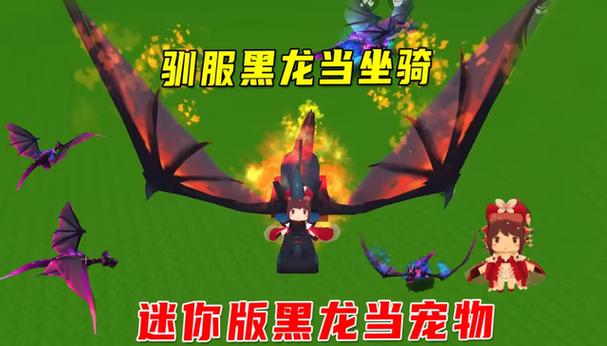 迷你世界黑龙龙怎么驯服图标