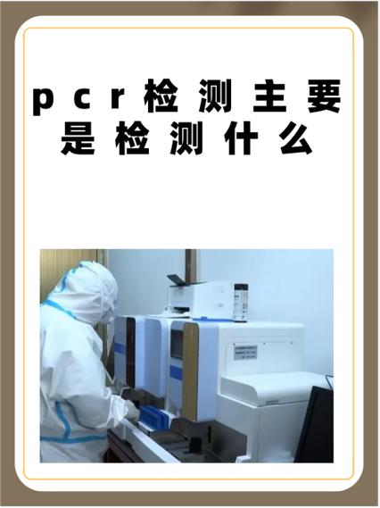 pcr检查主要检查什么项目缩略图