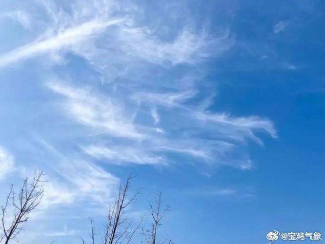 无广告又精准的天气软件