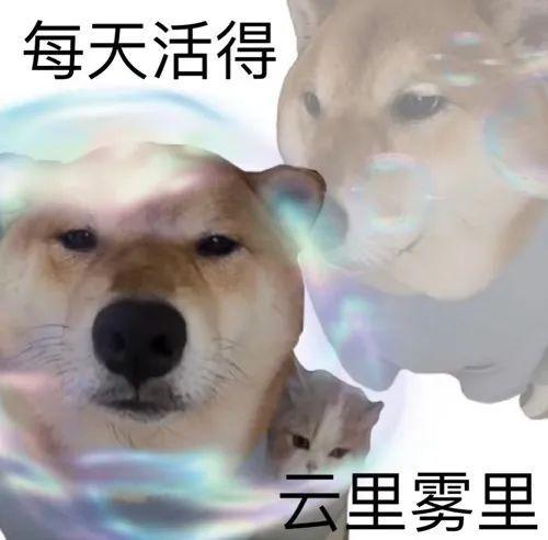 day emoji表情游戏截图