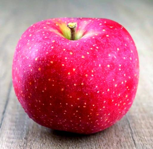 千盈app苹果图标