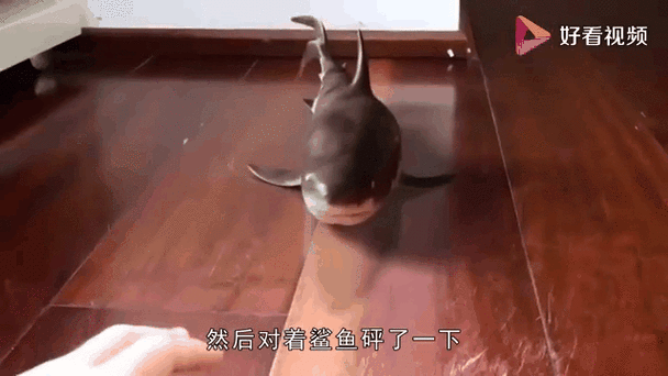 合成鲨鱼缩略图