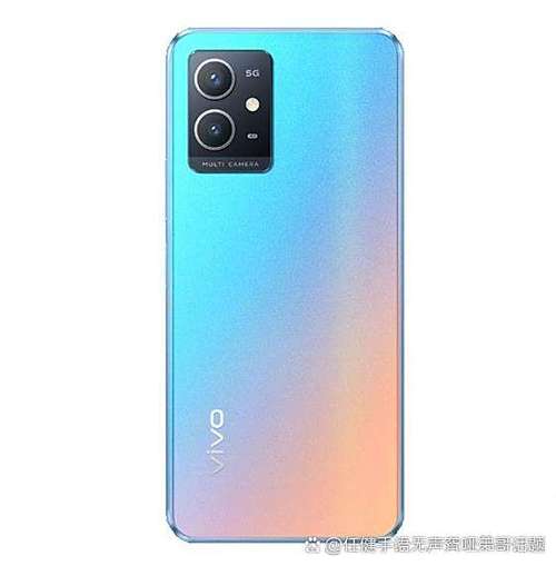 vivo英文翻译中文是什么意思缩略图