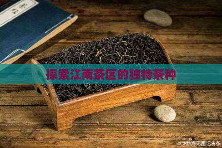 茶树种子图片缩略图