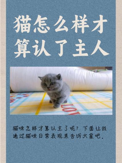 小猫一般几天认主人