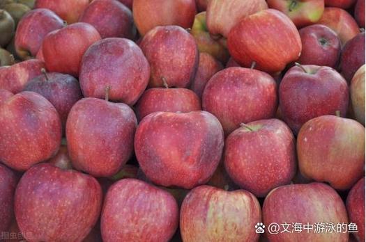 苹果apple是干嘛用的缩略图